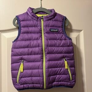 Patagonia Vest